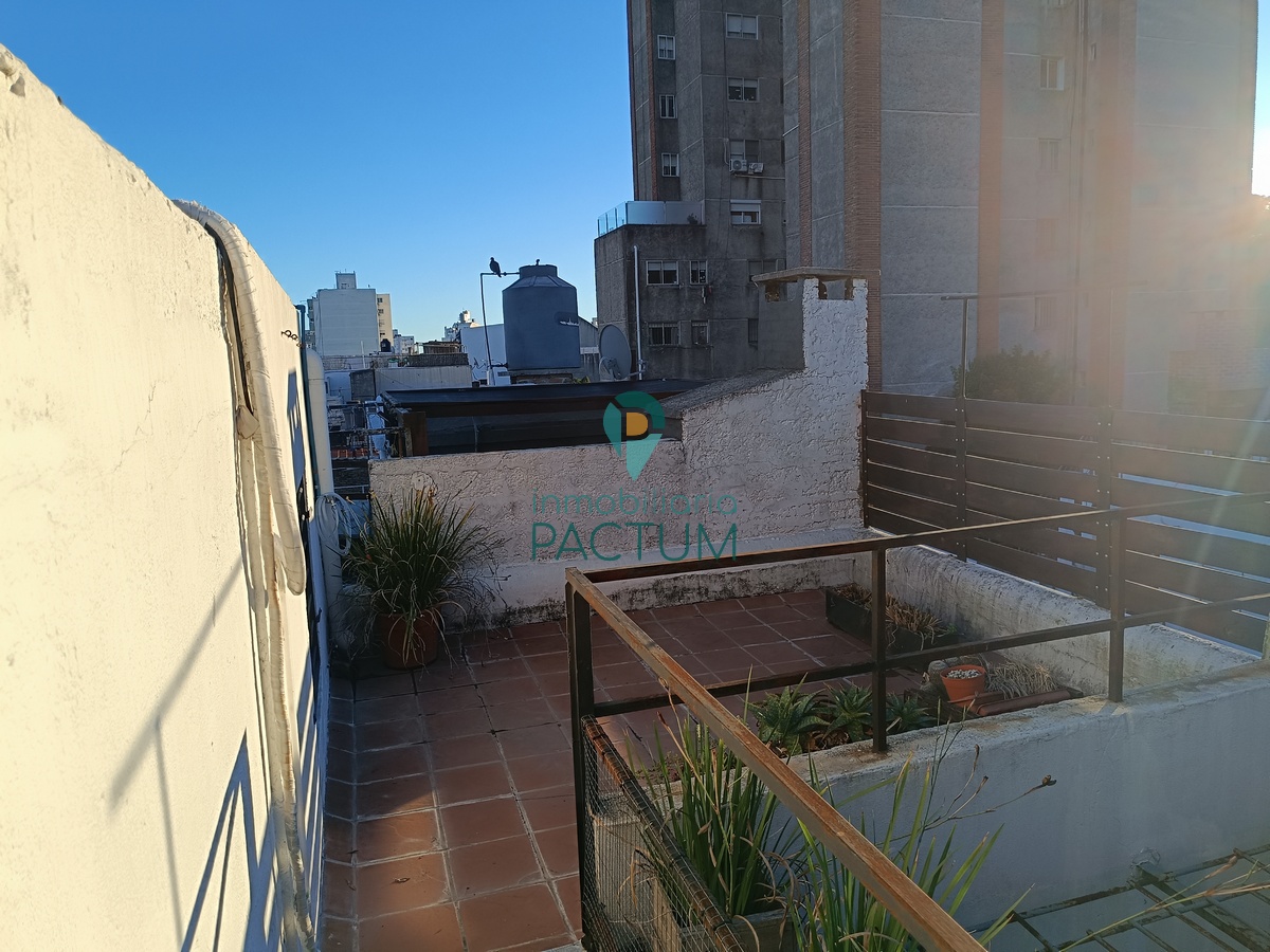 Viejo Pancho y Libertad